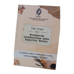 LIVRO ESTUDO DIRIGIDO 2024